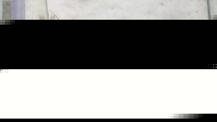 جهادکشاورزی آذربایجان غربی از متقاضیان تکثیر شاه میگو حمایت می‌کند