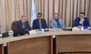 شهرداری ها محدودیت منابع درآمدی ندارند