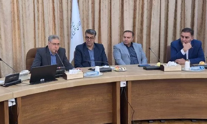 شهرداری ها محدودیت منابع درآمدی ندارند