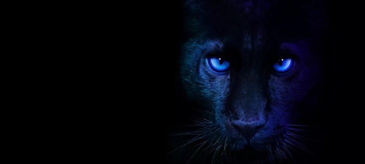 اینتل از معرفی Core Ultra 3 برای CES 2026 – KitGuru خبر داد