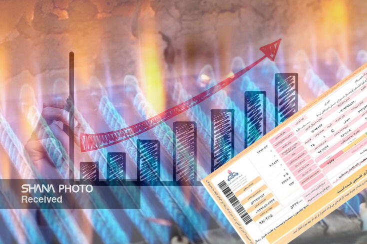 مصرف گاز بخش خانگی به ۶۵۰ میلیون مترمکعب می‌رسد