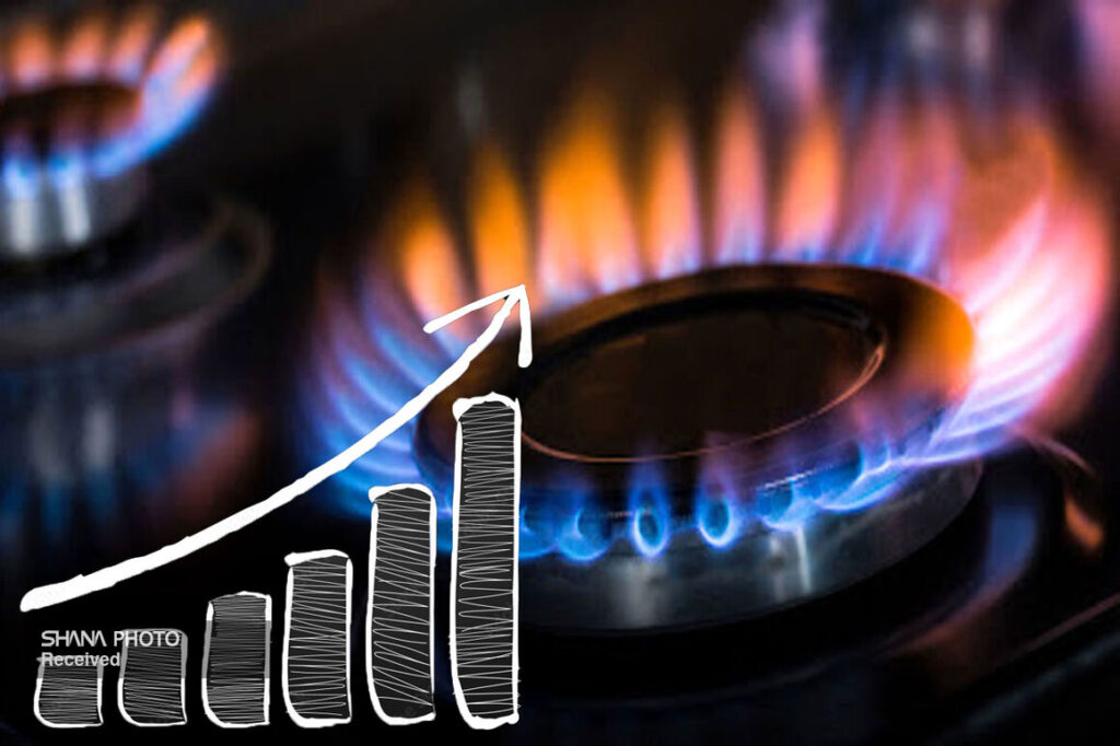 مصرف ۶۶۰ میلیون مترمکعب گاز در بخش خانگی