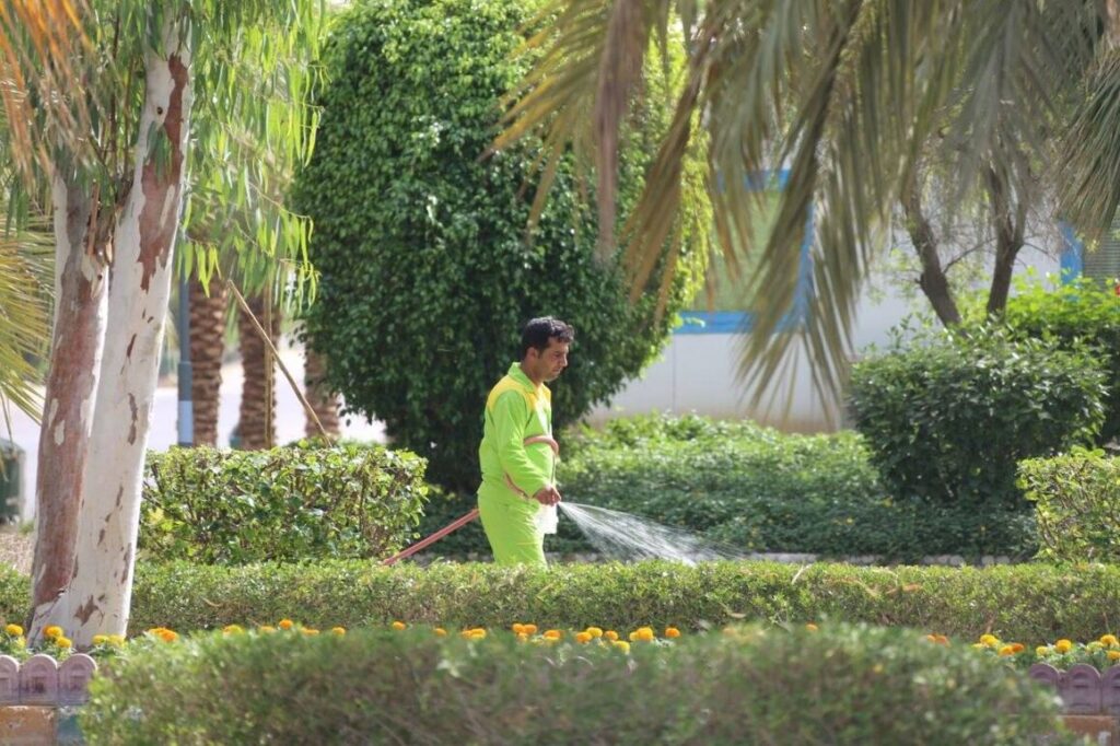 بهسازی فضای سبز در محدوده عملیاتی نفت و گاز پارس