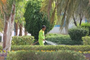 بهسازی فضای سبز در محدوده عملیاتی نفت و گاز پارس