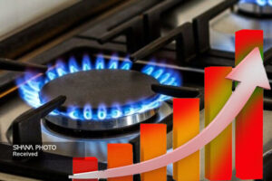 مصرف ۷۵ درصد از کل گاز تولیدی در بخش خانگی