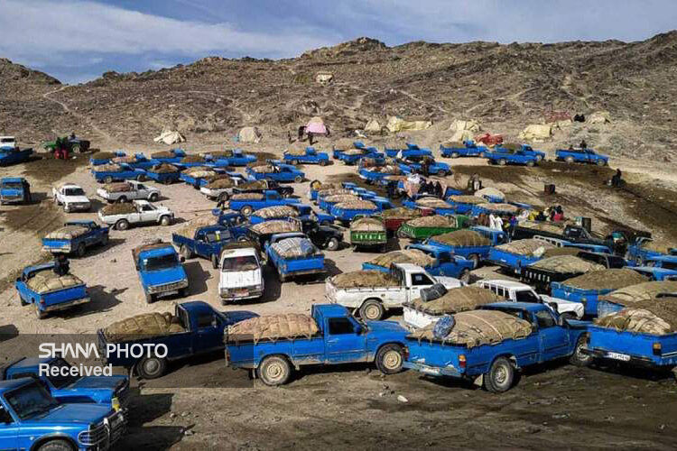 مبارزه هوشمند با قاچاق سوخت در دولت چهاردهم