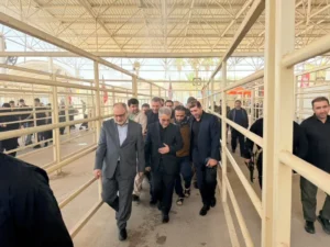 معاون دادستان کل کشور: رضایت زائران از خدمات مرز خسروی حاصل هم‌افزایی دستگاه‌های اجرایی و قضایی است
