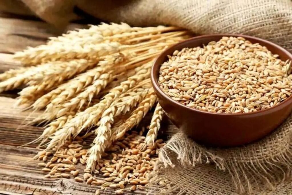 پرداخت بیمه خسارات بخش کشاورزی کاهشی شد