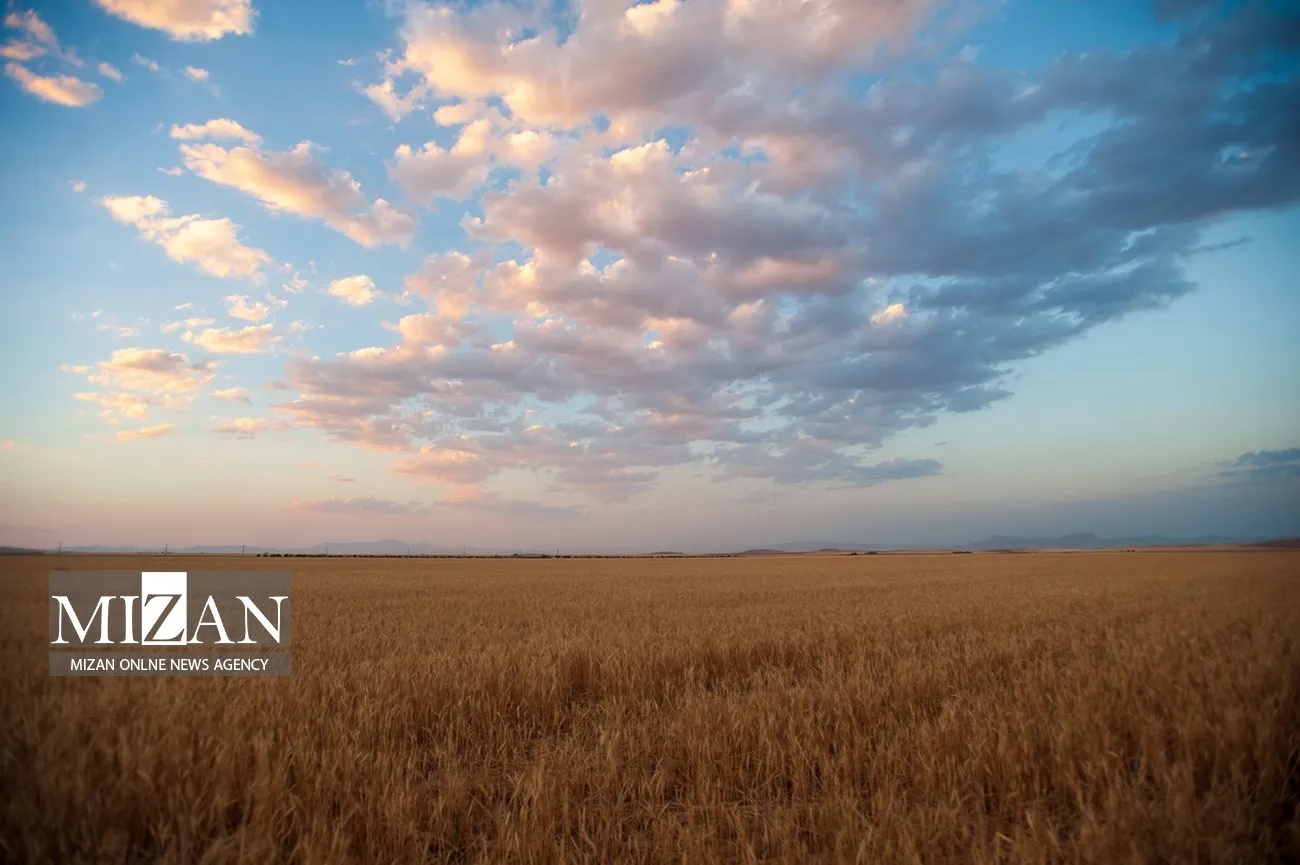 یشرفت ۵۶ درصدی کاداستر اراضی کشاورزی خراسان شمالی