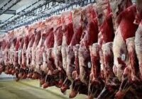 چشم‌انداز پایدار بازار گوشت در پاییز؛ افزایش عرضه و مدیریت ذخایر